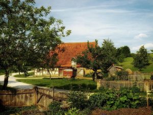 Stapsgewijze handleiding voor een fris huis en fijne tuin met focus op indeling, licht en functies