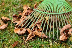 Home Visuele gids voor simpel, schoon en groen huis en tuin met vaste zones, routines en duurzame inrichting
